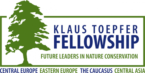 KTF-Logo
